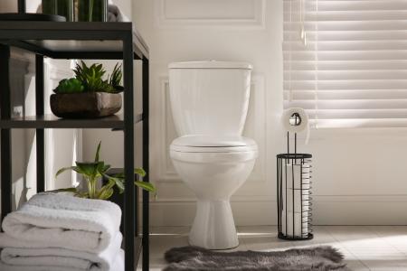 Toilet Repair Thumbnail